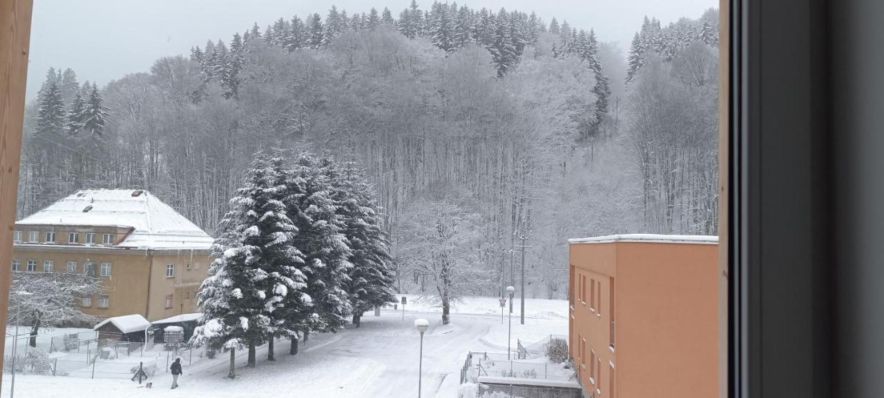 Apartman Nely Svoboda nad Úpou Exterior foto